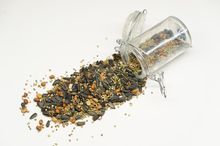 Cover Crop Mixtures