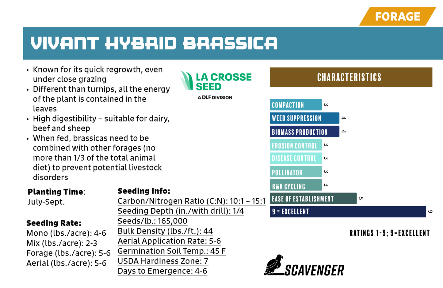 Hybrid Brassica