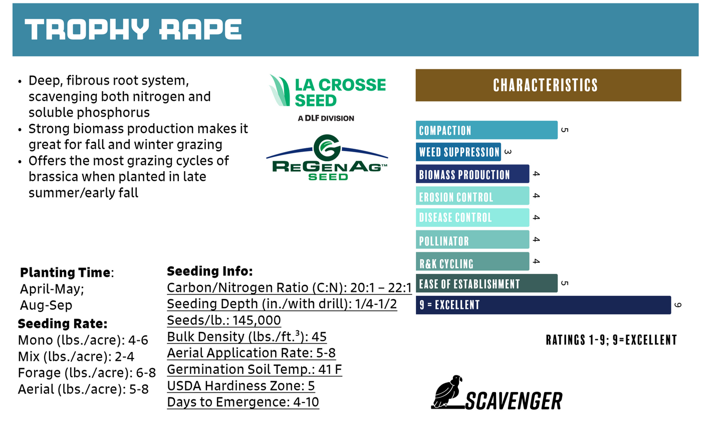 Rape