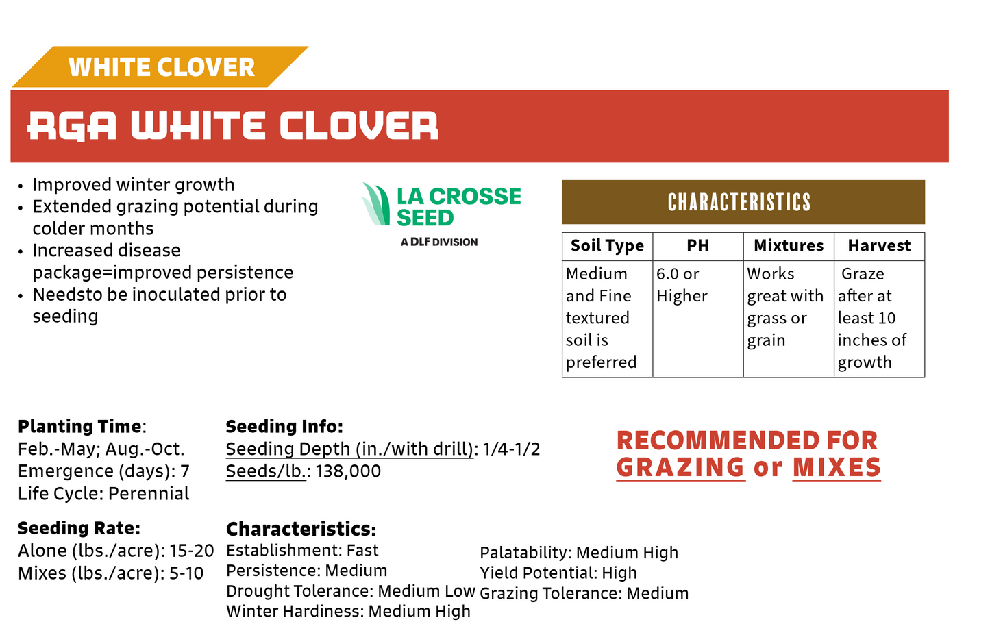 White Clover