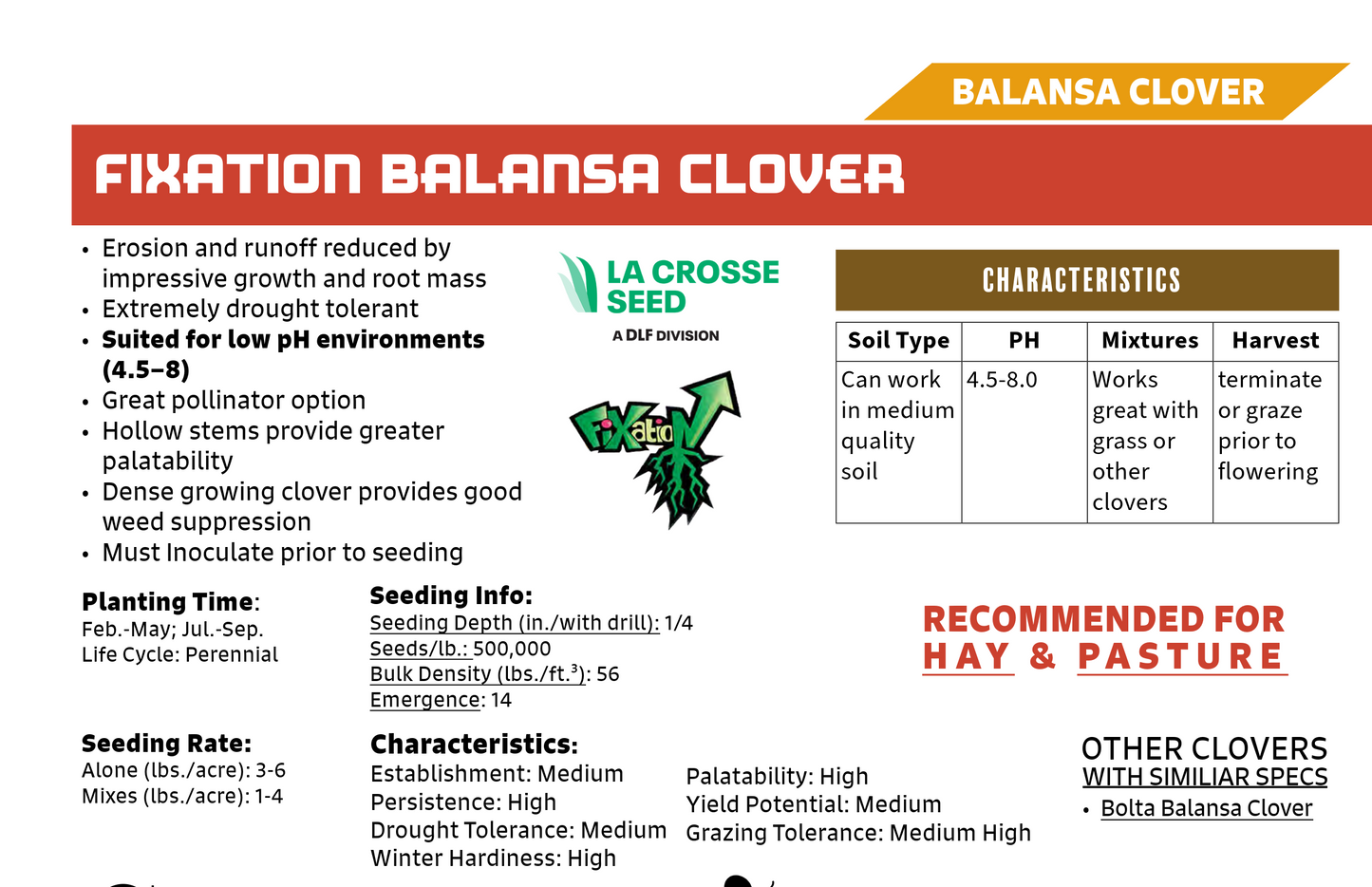 Balansa Clover