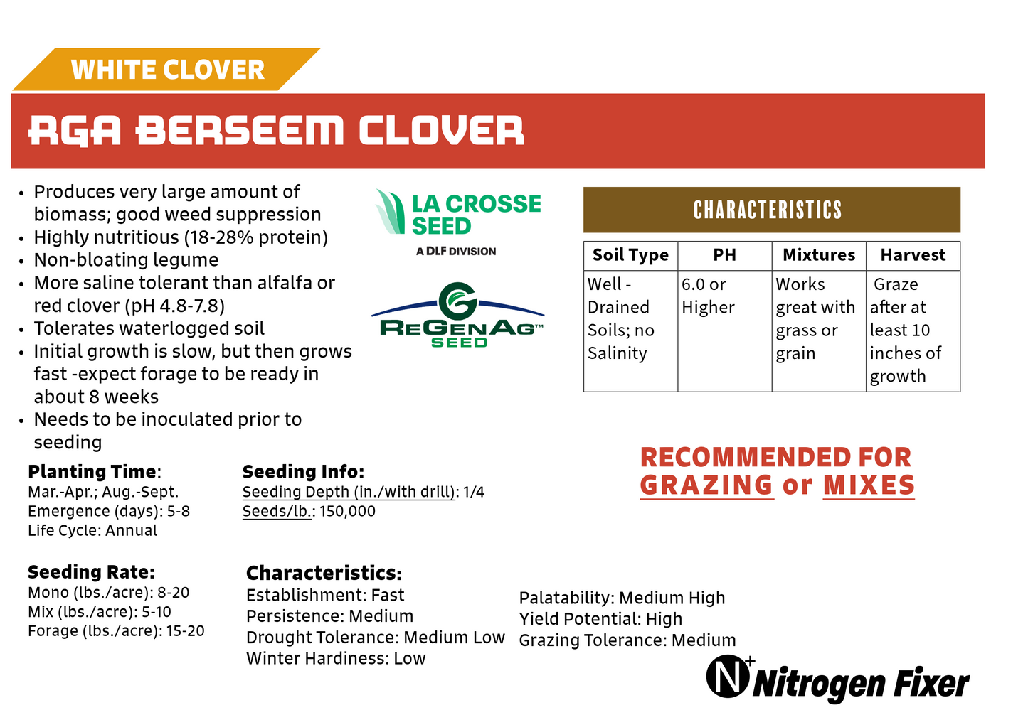 Berseem Clover