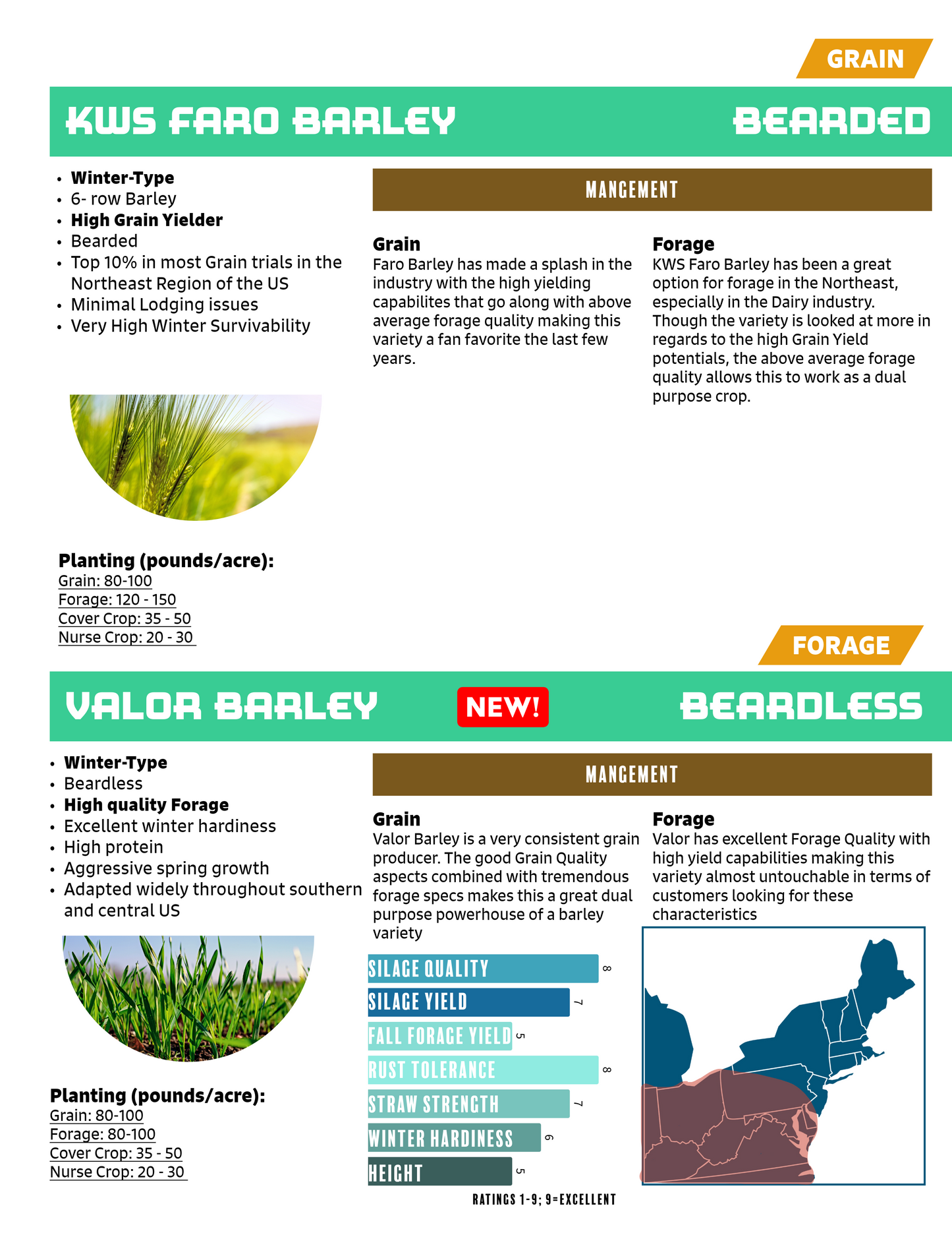 Winter Barley