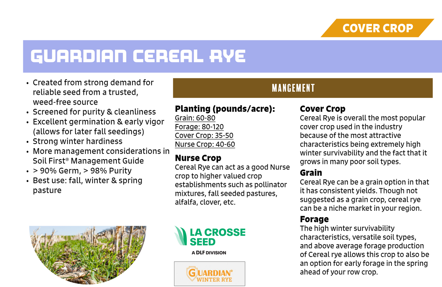 Winter Cereal Rye