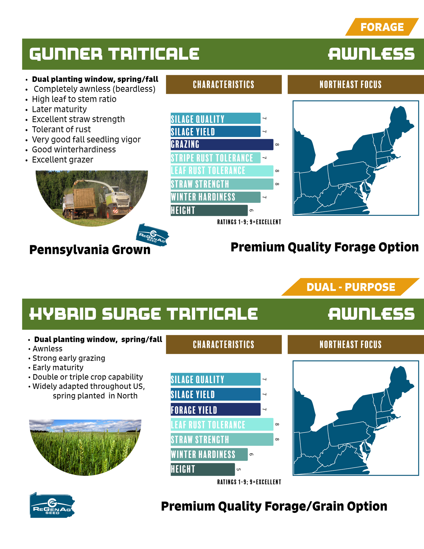 Winter Triticale