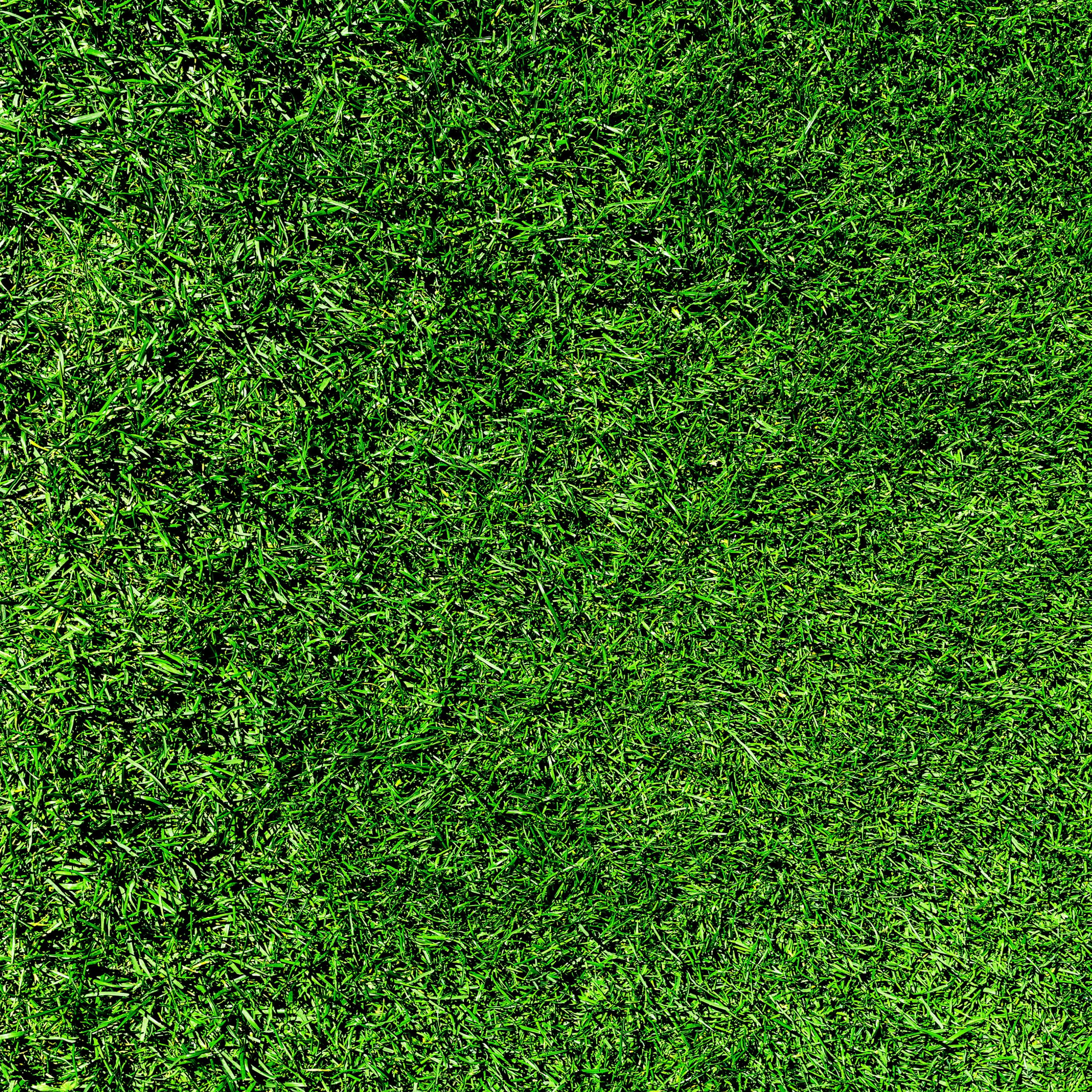 Preferred PA Turf Mix