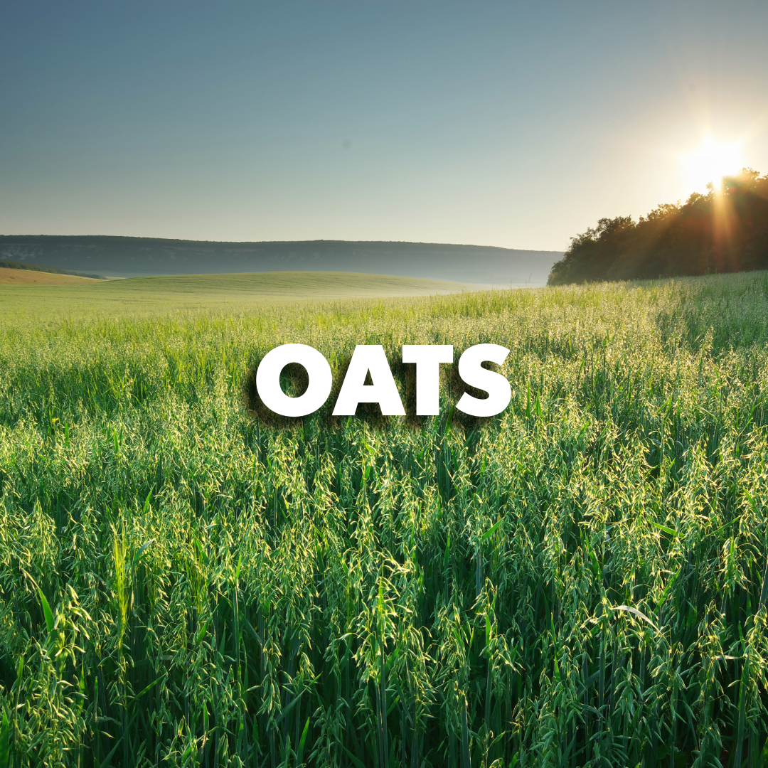 Oats