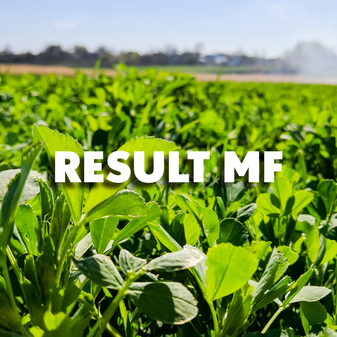 Result MF Alfalfa