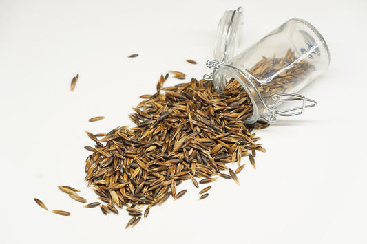 Forage Oats